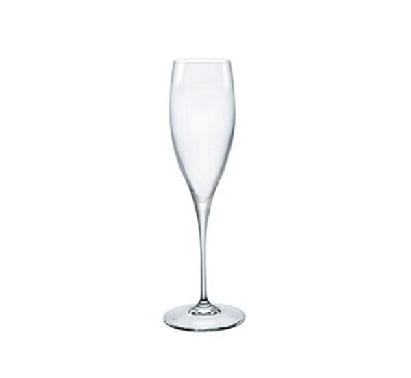 PREMIUM – CHAMPAGNE 26CL  H245MM W78MM (6)