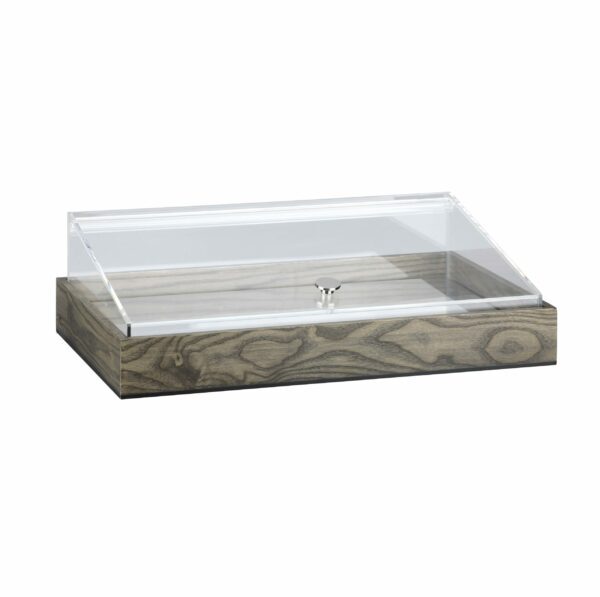 T-COLLECTION COLD DISPLAY (GN 1/1)