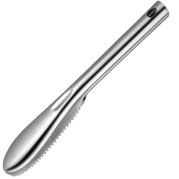 FISH SCALER STAINLESS STEEL – 235MM
