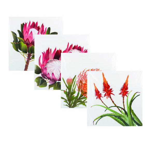 Paper Canvas Plaque - Assorted Designs, 30x30cm