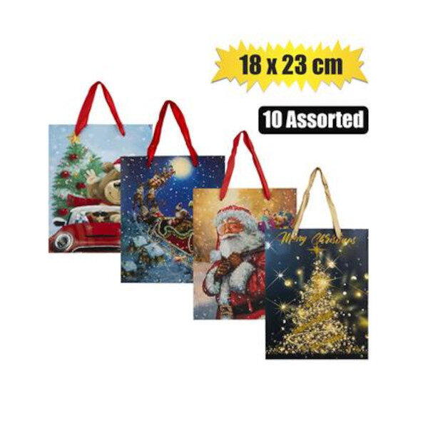Medium Christmas Gift Bag - 18cm X 23cm Assorted