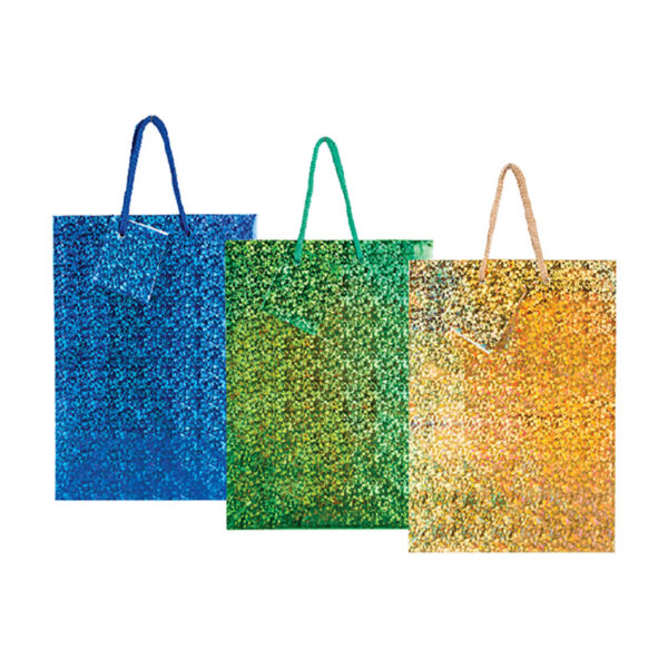 Medium Hologram Gift Bag - 23x18cm, Assorted