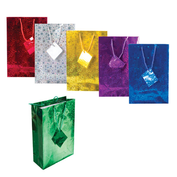 Medium Metallic Gift Bag - 20x28cm, Assorted