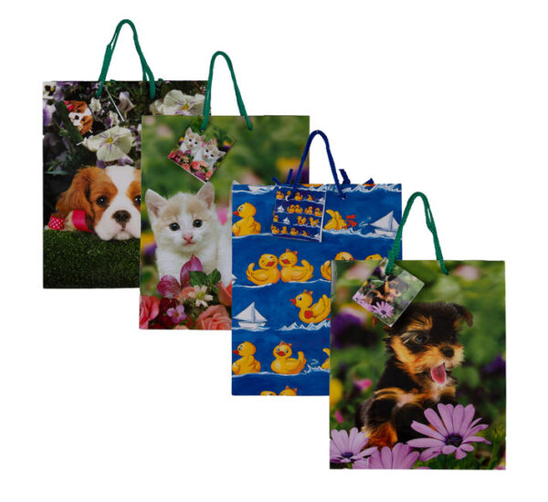Medium Everyday Gift Bag - 23x18cm, Assorted