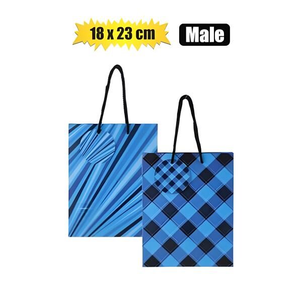 Gift-Bag Paper Med 18x23cm Every Male