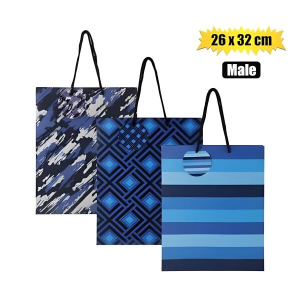 Gift-Bag Paper Lrg 26x32cm Every Male