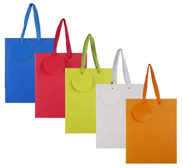 Medium Solid Colour Gift Bag - 23x18cm, Assorted
