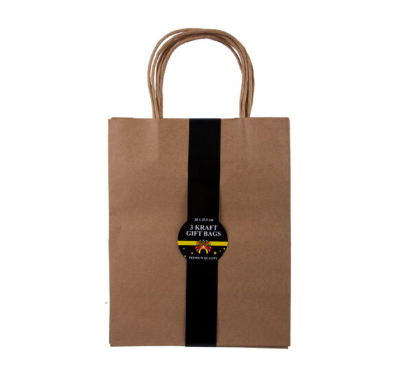 Gift-Bag Kraft Ppr 3 Pack Lrg 20X25.5Cm