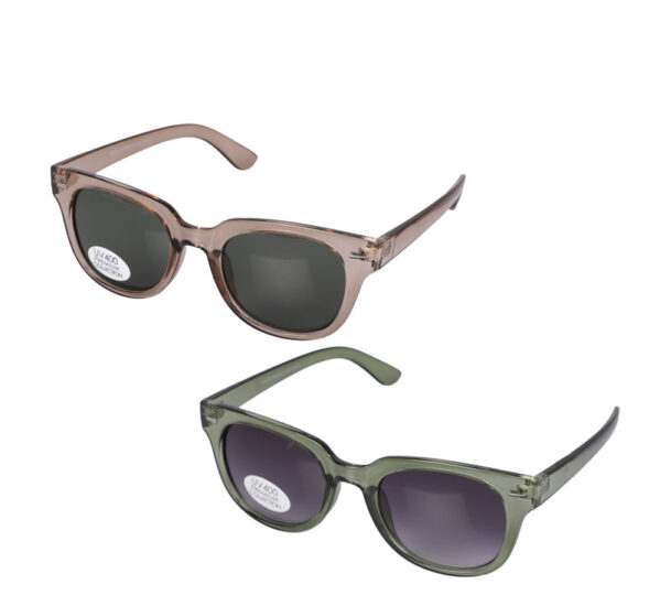 Sunglass Pre/Unisex Modern Wayfarer