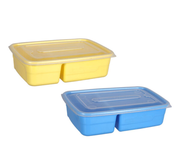 Container Foodsaver 2-Div
