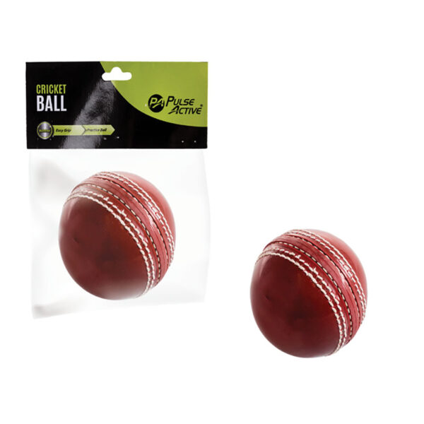 Practice Cricket Ball - Rubber