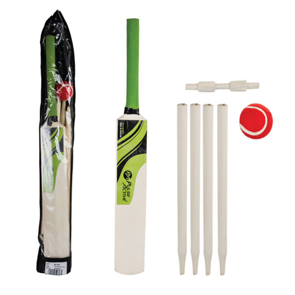 Cricket Set In Polybag - Size 5
