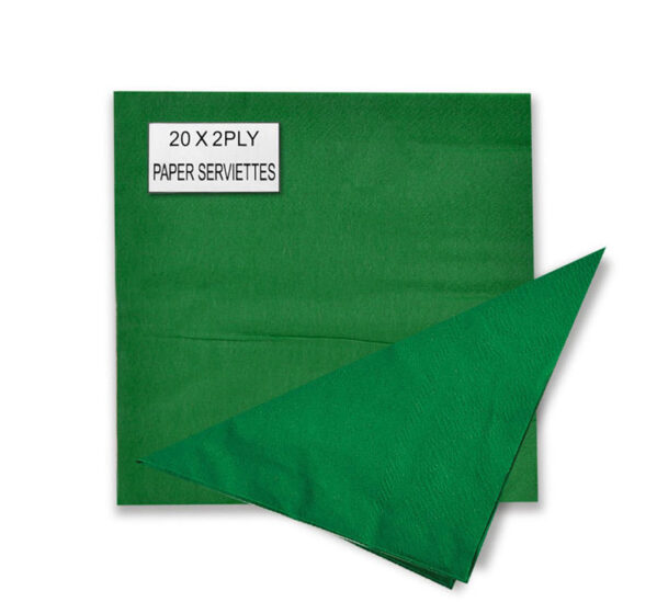 Serviettes 2Ply 33cm 20Pc Plain Green