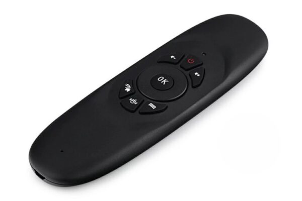 Parrot Air Mouse With Wireless Keyboard