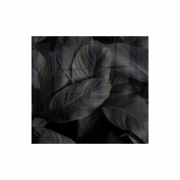 Feathers Hob Splashback (598 X 650 X 6mm)