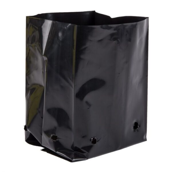 RJE PLANT BAG 125X100X225MM GF4 2.5L 25 P/PACK