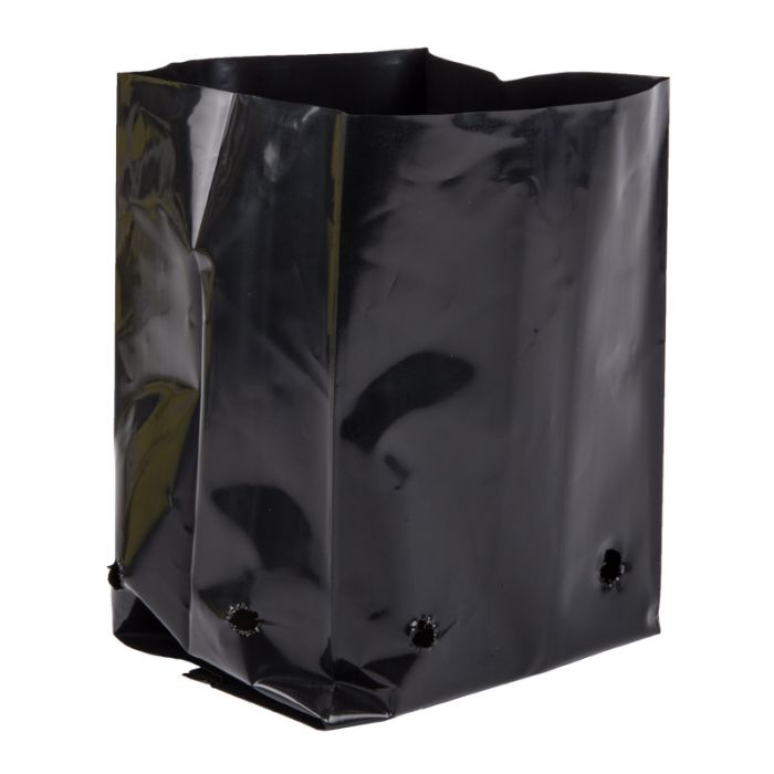 RJE PLANT BAG 175X150X250MM GF6 7L 25 P/PACK