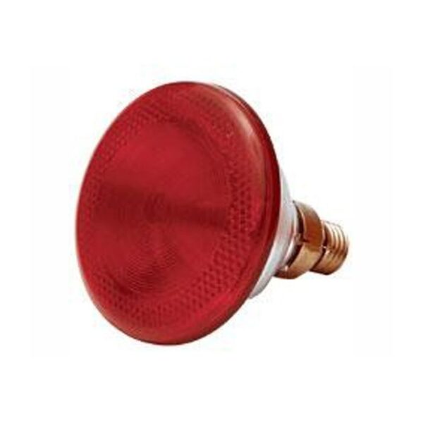 POLTEK LAMP INFRARED 175W