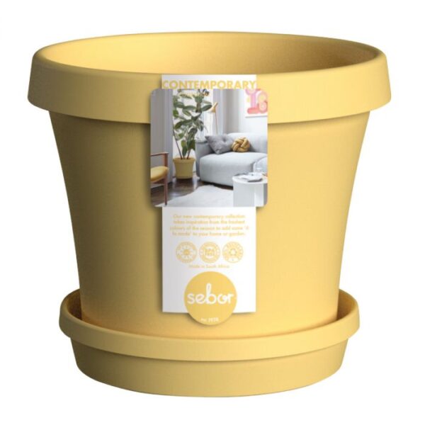 SEBOR SUPPOT & SAUCER SET 20CM YELLOW