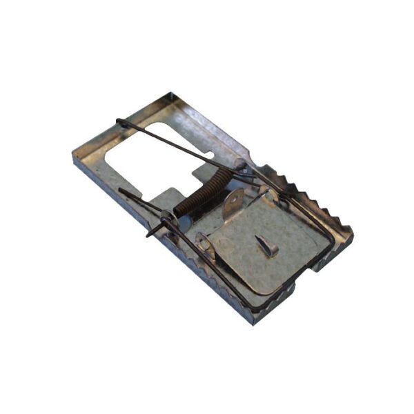 MOUSE TRAP