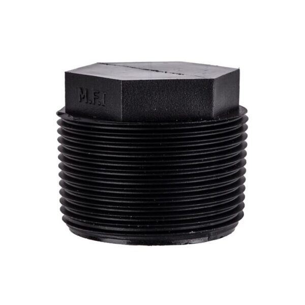 INSERT PLUG BSP 20MM